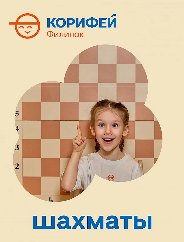 Какую пользу несут занятия шахматами?